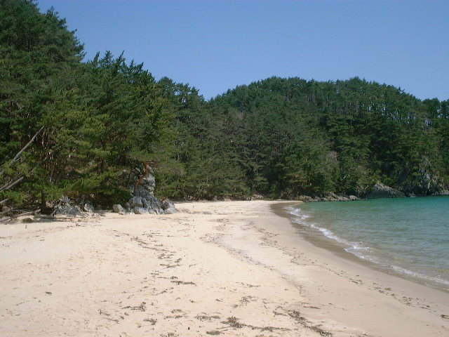 気仙沼の浜辺