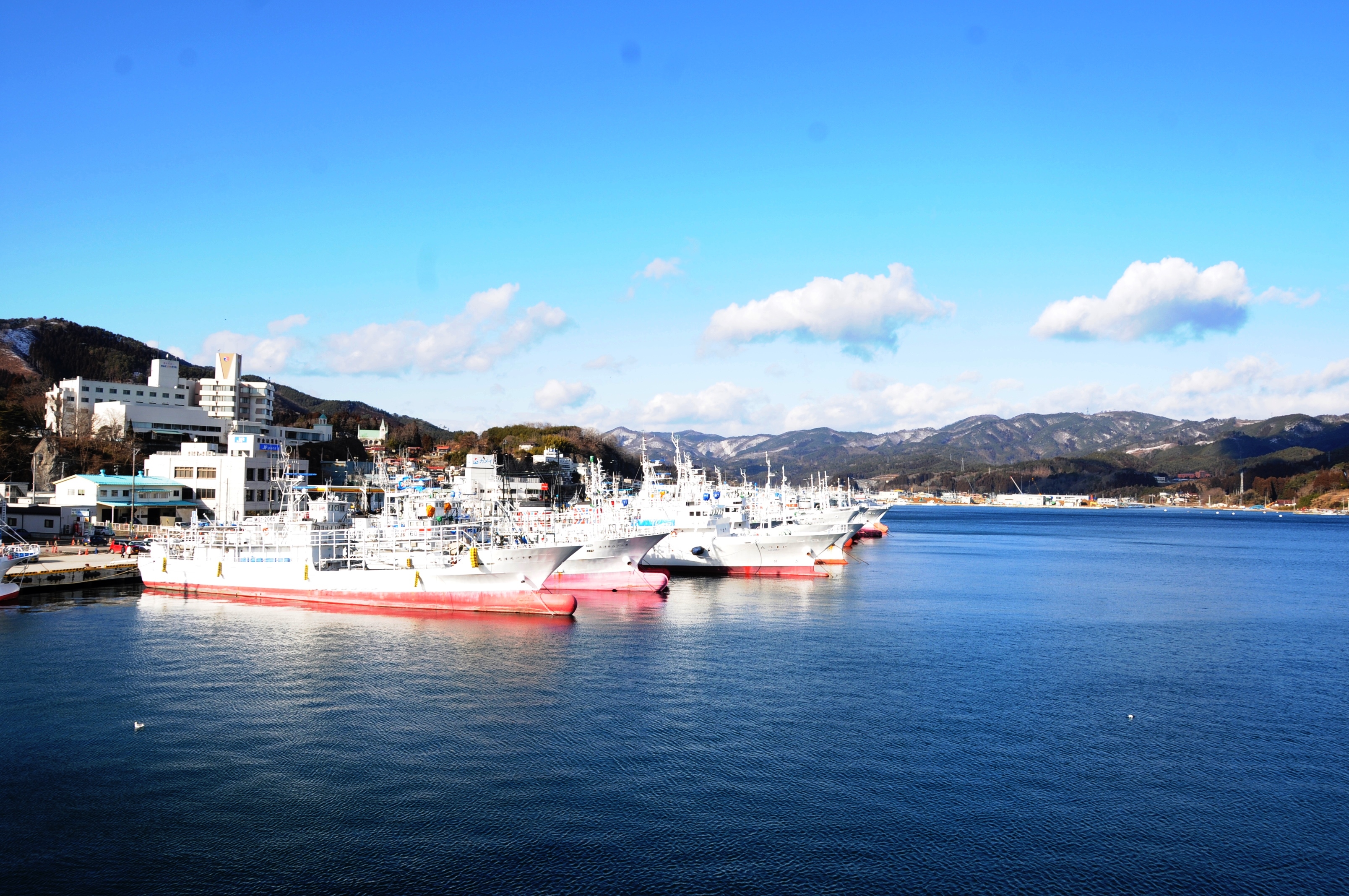 気仙沼漁港